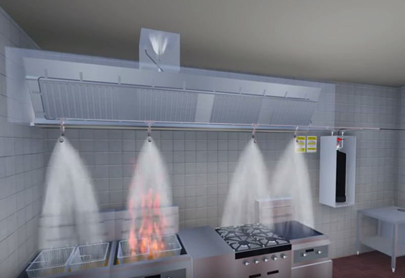 Kitchen fire suppression system deals