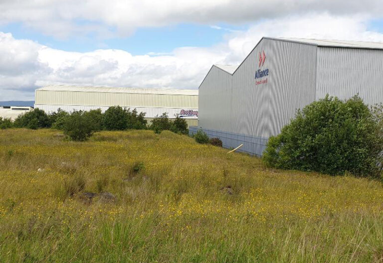 Alliance Disposables pays £420k for cleared land