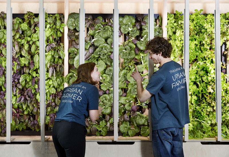 Compass Group introduces urban farm to its headquarters