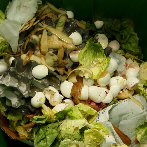 New AI-powered system targets hidden plate waste